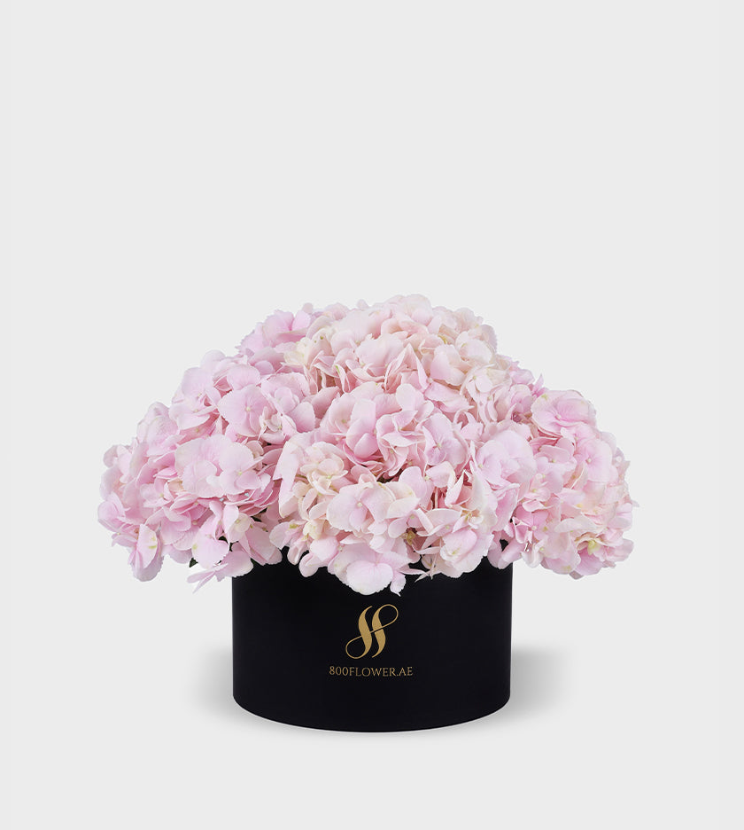 Pink Hydrangea Medium Round Box