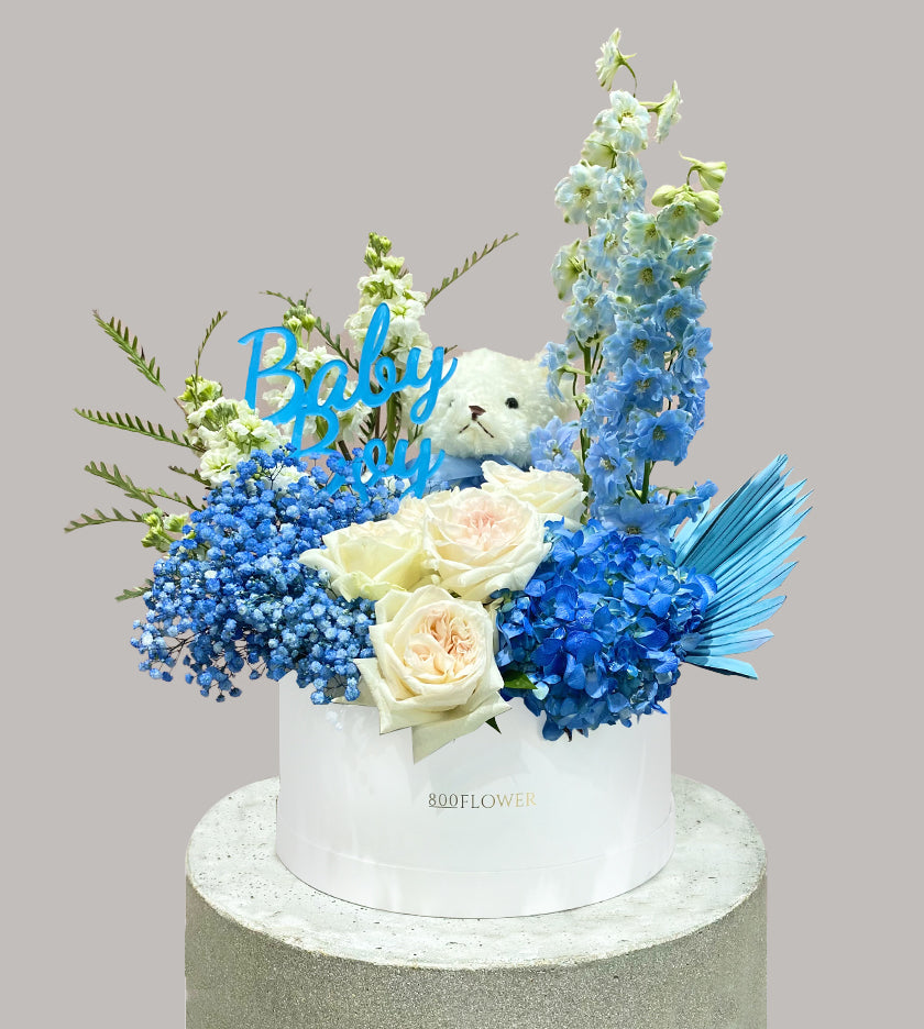 Welcome Baby Boy Round Box Package