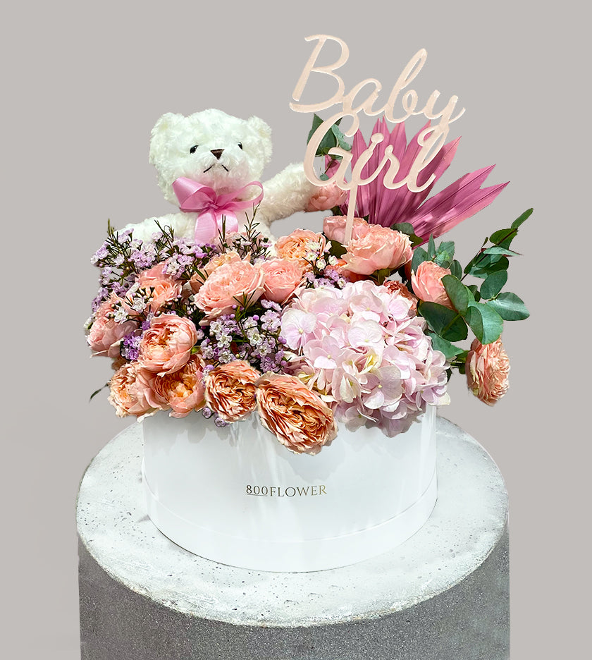 Welcome Baby Girl Round Box Package