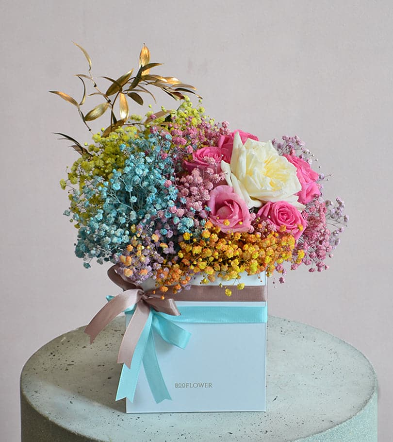 Vivid Youth Box Arrangement