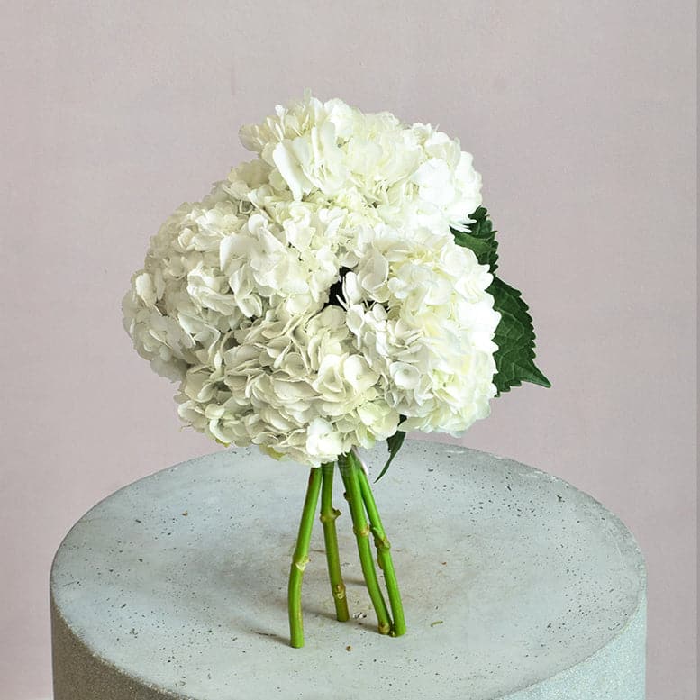 White Hydrangea Bouquet
