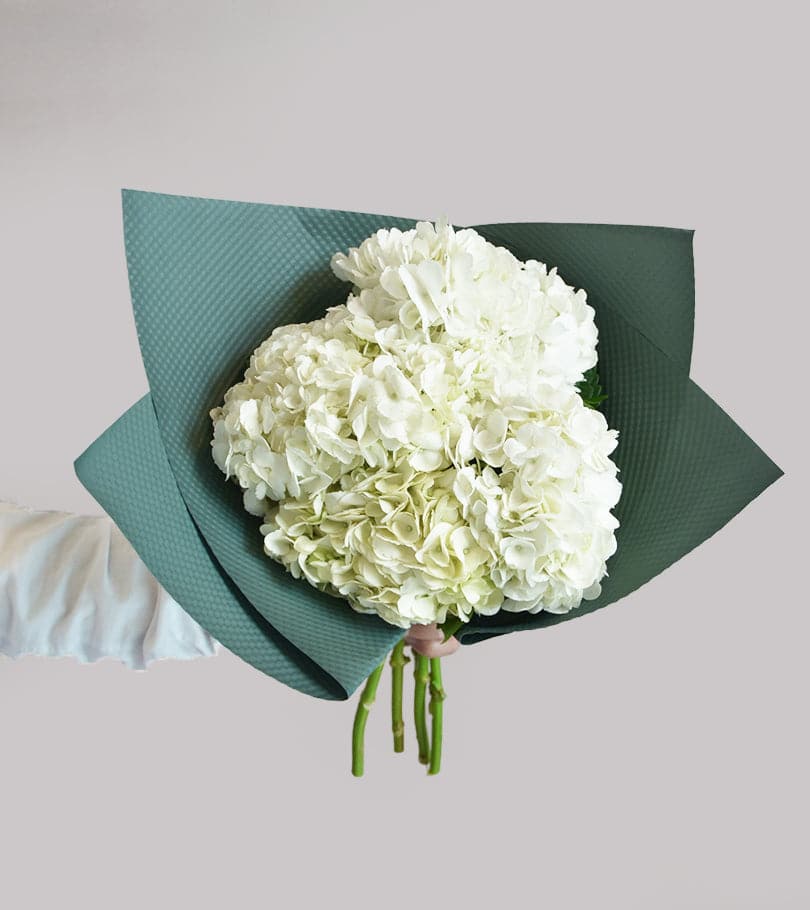 White Hydrangea Bouquet